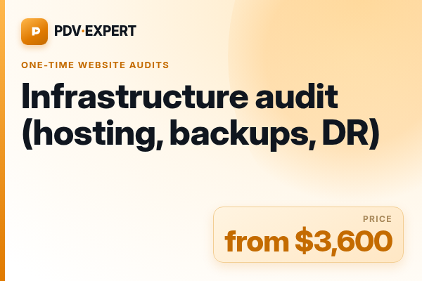 Infrastructure audit (hosting, backups, DR)